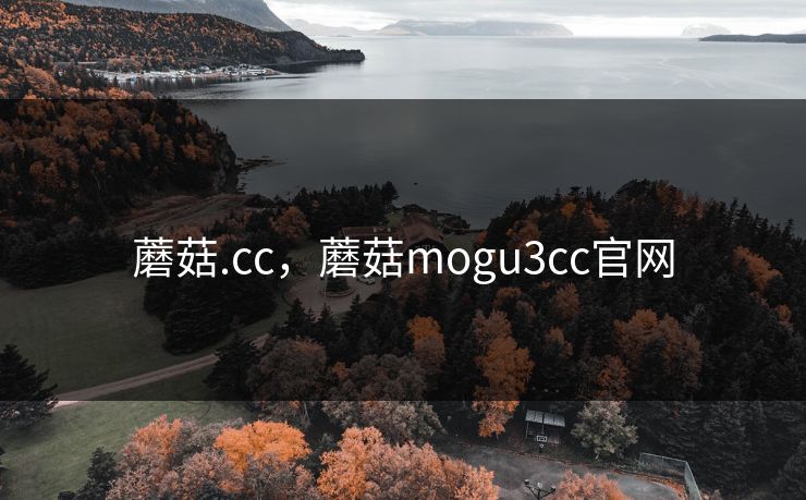 蘑菇.cc，蘑菇mogu3cc官网