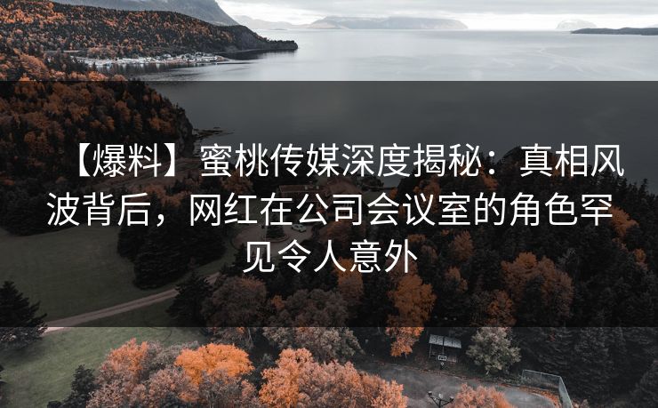 【爆料】蜜桃传媒深度揭秘：真相风波背后，网红在公司会议室的角色罕见令人意外